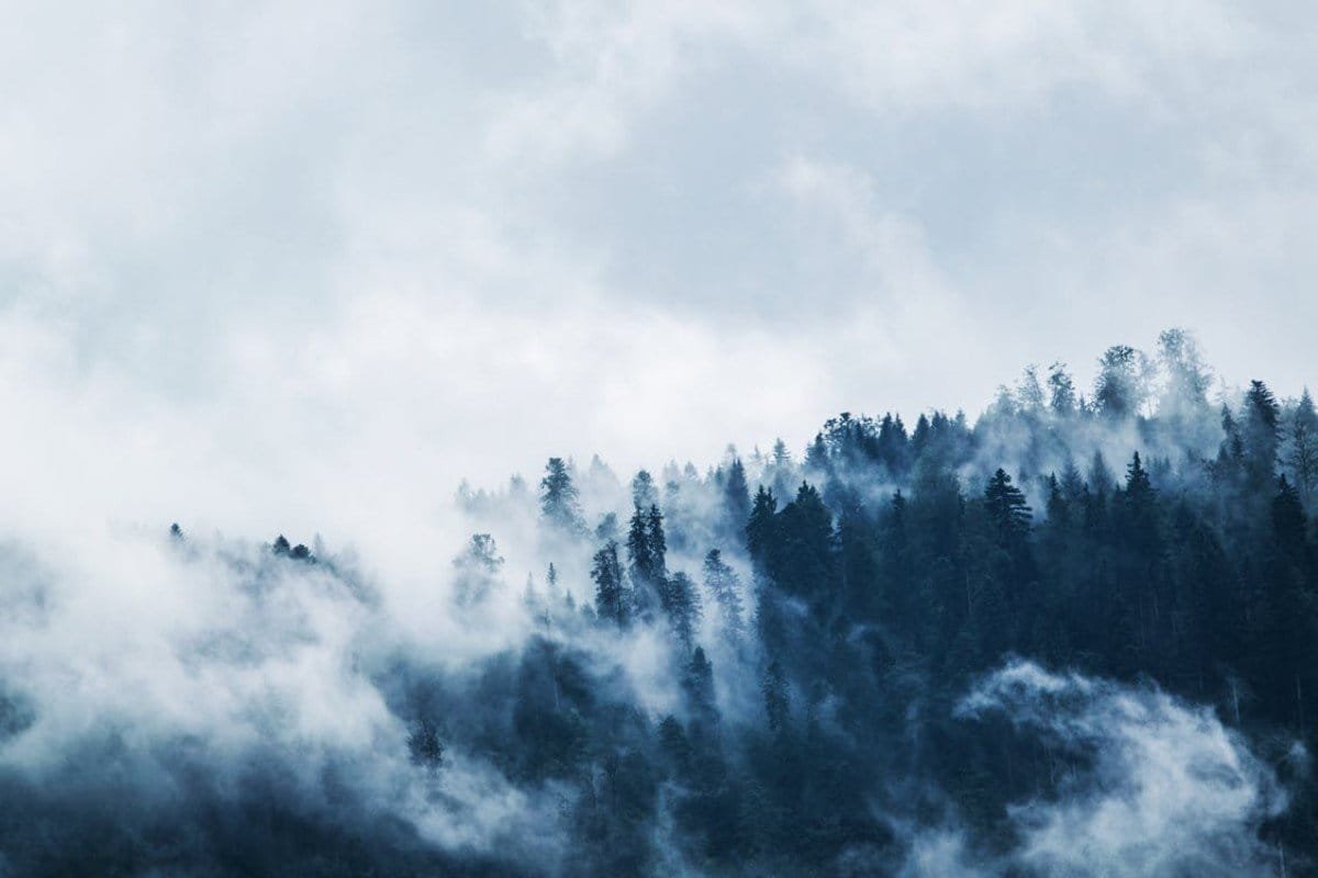 Read more about the article Trauma and Resilience: Dealing with the Adversity of Trauma