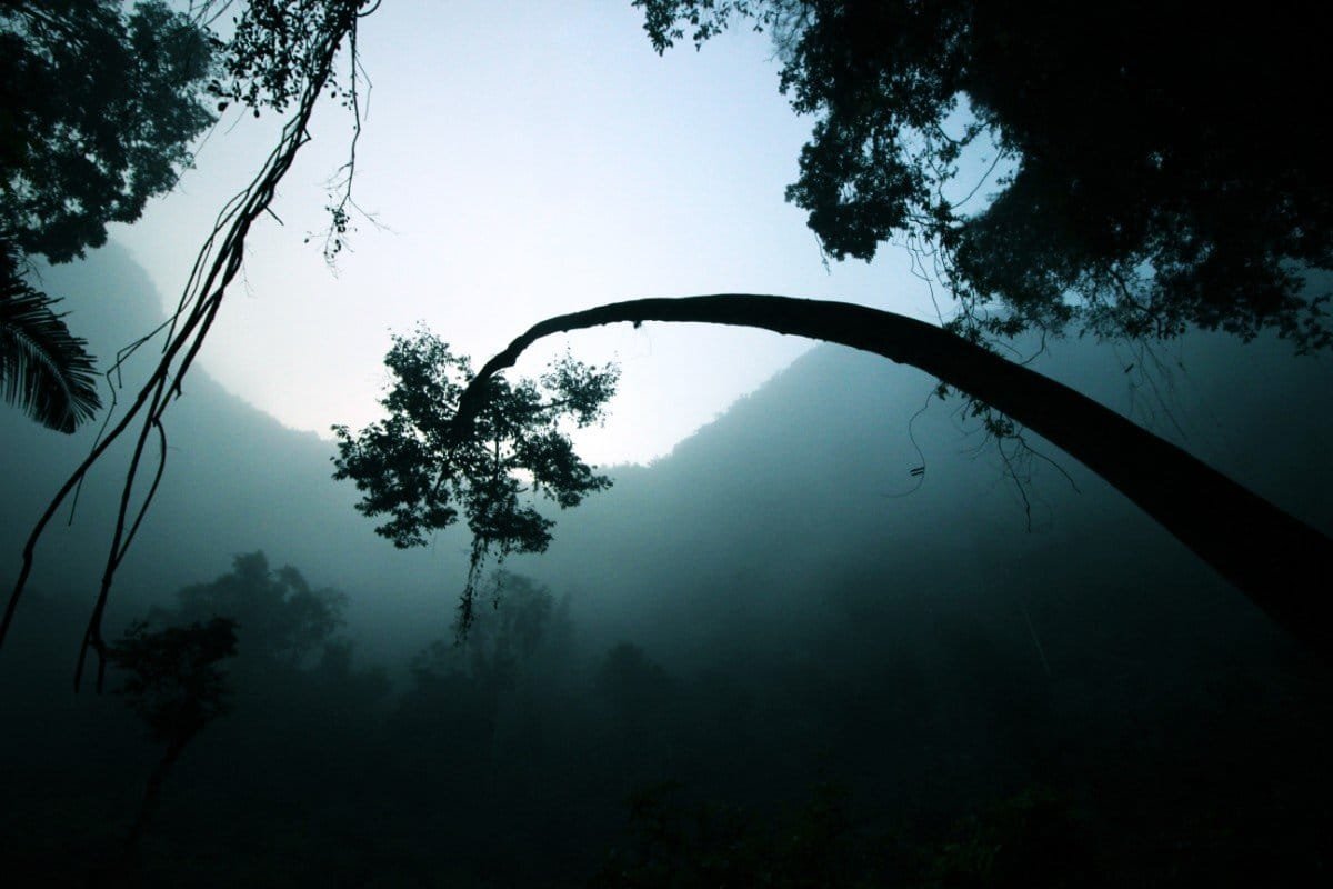 Read more about the article A Pathway to Healing Trauma: Past – Present – Future