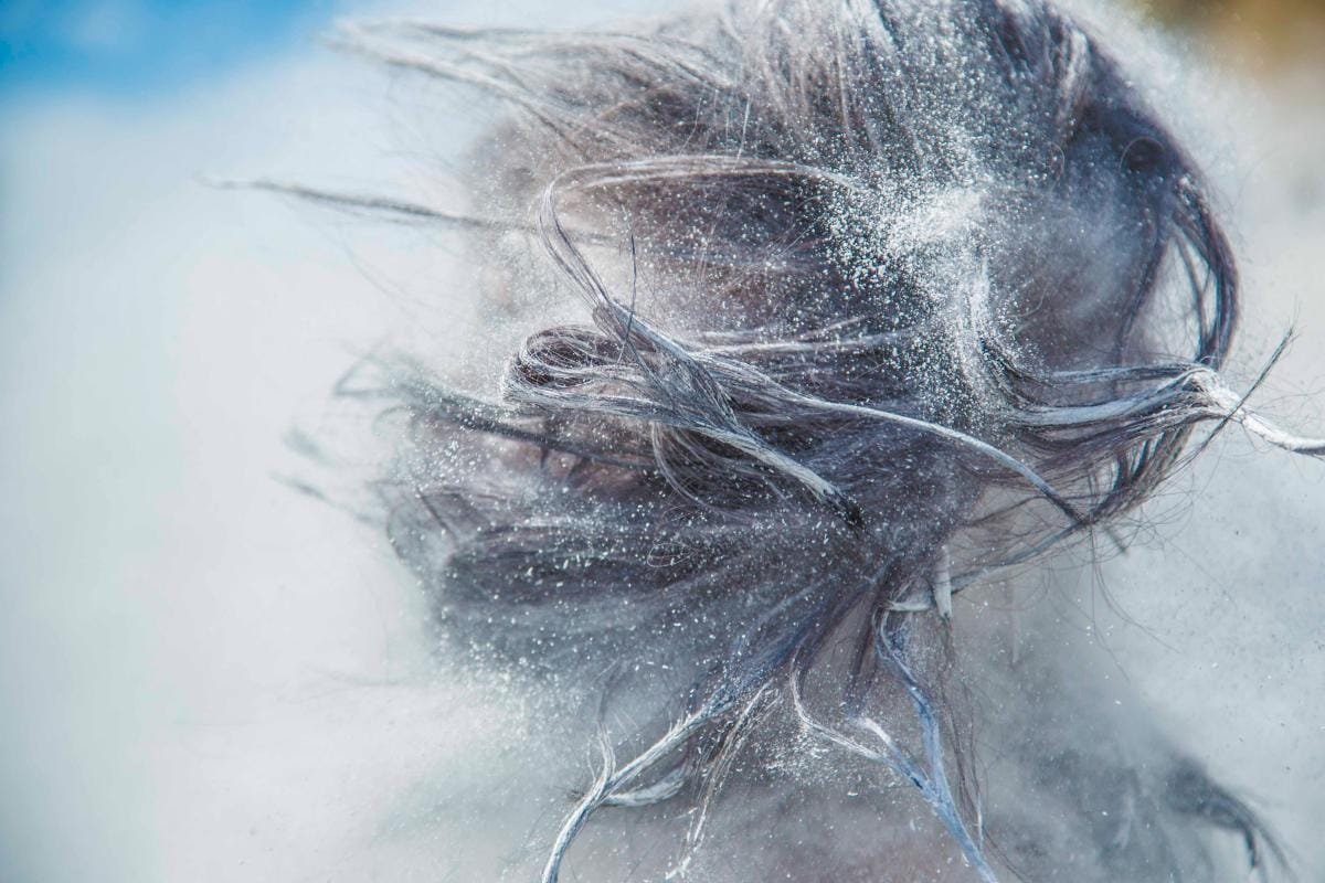Read more about the article Healing from Trauma and Can You Get Rid of PTSD?