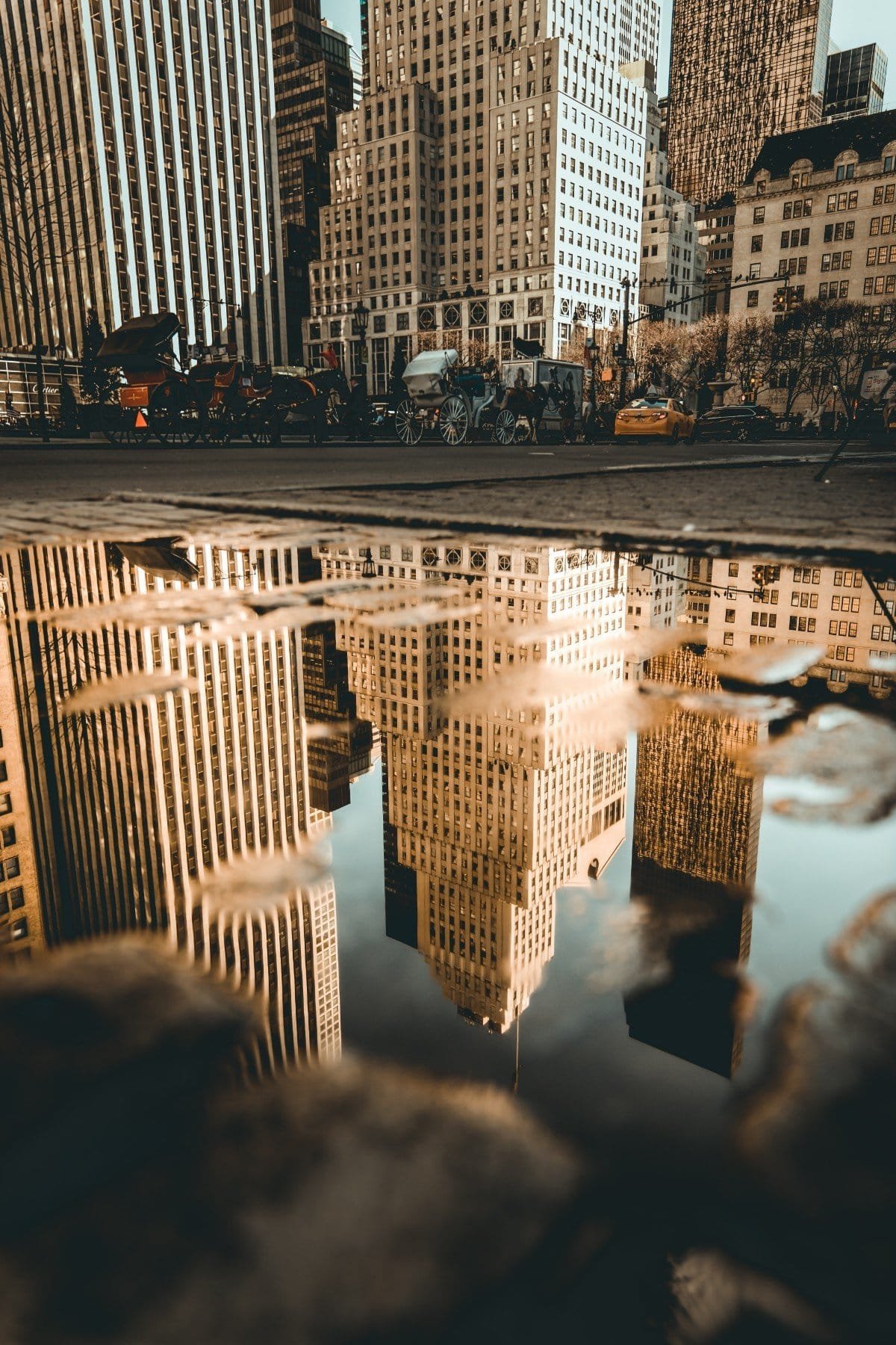 Read more about the article Dissociation PTSD and How Common of An Occurrence It Is