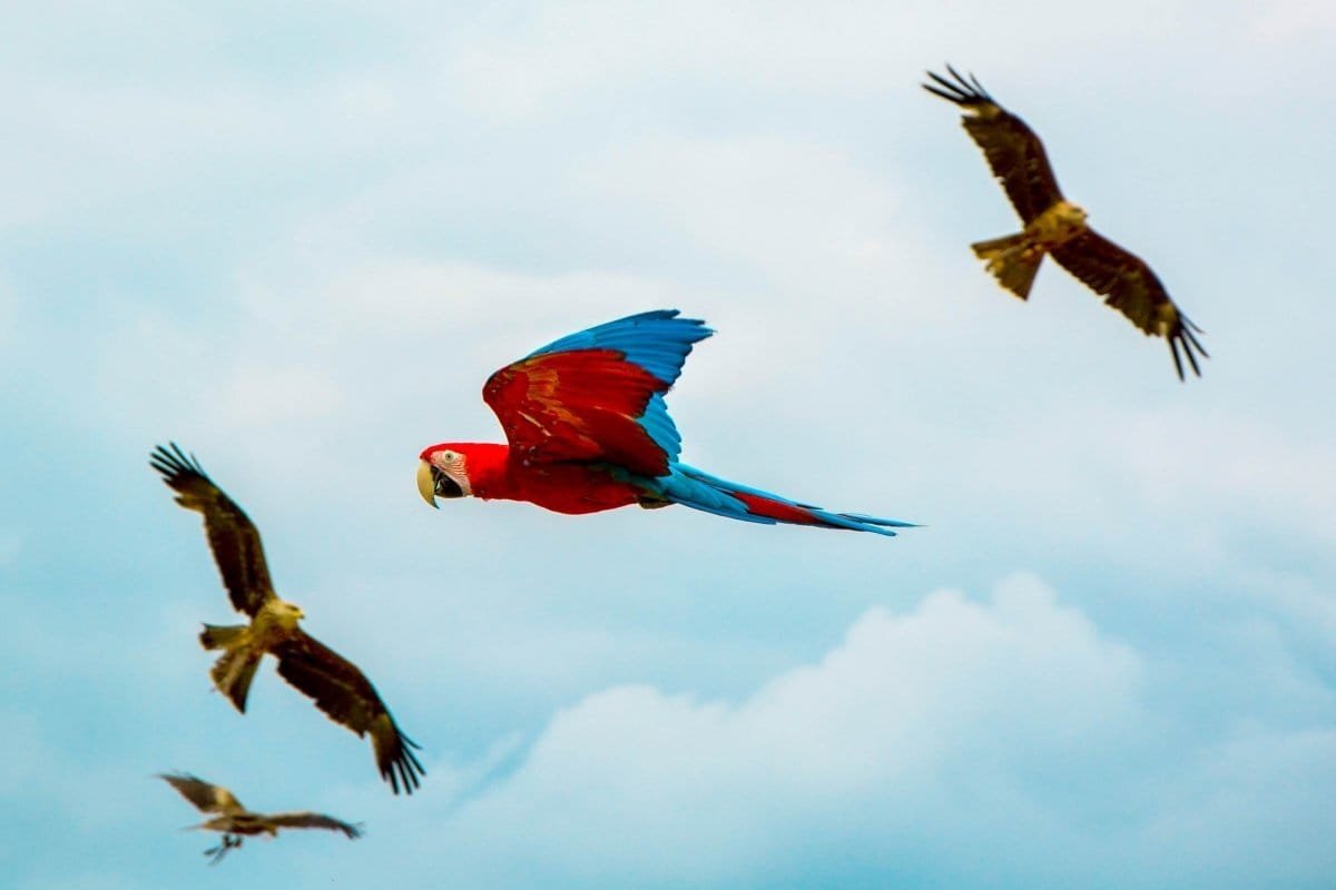 Read more about the article The PTSD Flight Response, Apathy & Neglect