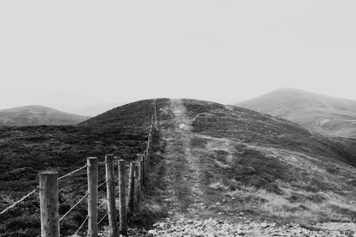 Read more about the article Complex PTSD & The Power of Rebuilding Boundaries