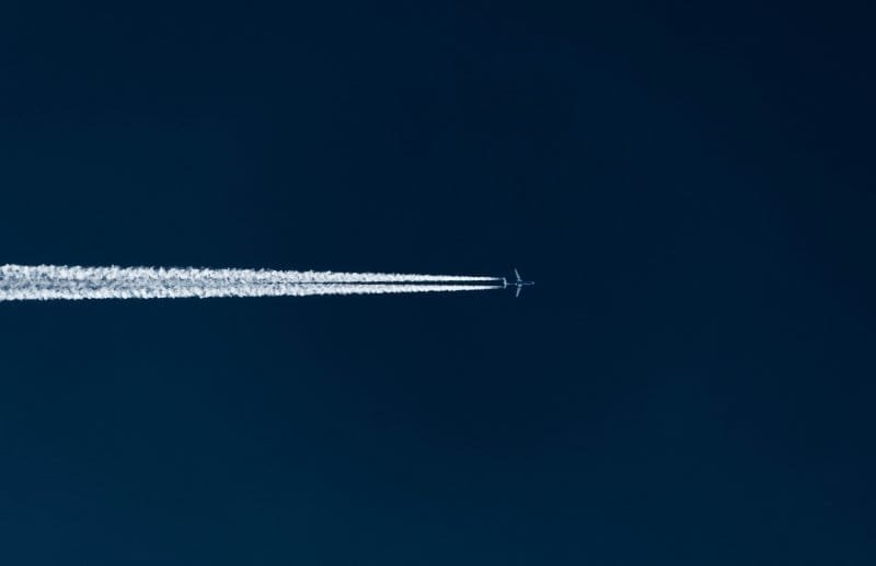 fight-or-flight-response