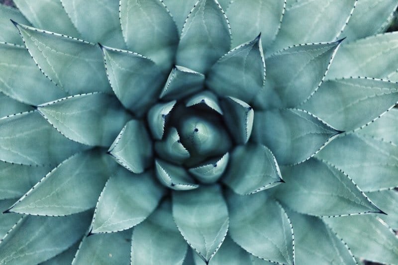 how-to-start-meditation
